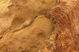 Uninhabited North Sea Islands Stampe: Lines and structures, reddish rock of limonite