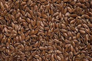 Deserted Food Still Life Stampe: Linseed kernels