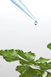 Genetic Information Analysis Stampe: Liquid drop on green leaf