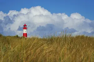 Deserted Dune Landscape Stampe: The Lister lighthouse at Ellenbogen