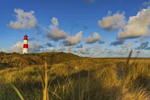 Lister Lighthouse Stampe: The Lister lighthouse at Ellenbogen