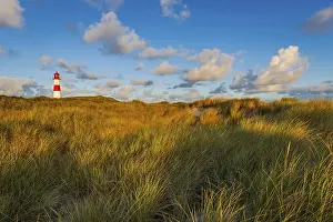 Lister Lighthouse Stampe: The Lister lighthouse at Ellenbogen