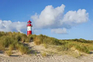 Lister Lighthouse Stampe: The Lister lighthouse at Ellenbogen