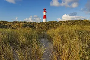 Lister Lighthouse Stampe: The Lister lighthouse at Ellenbogen
