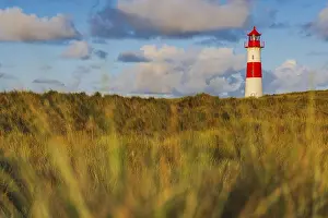 Schleswig Holstein Landscapes Stampe: The Lister lighthouse at Ellenbogen