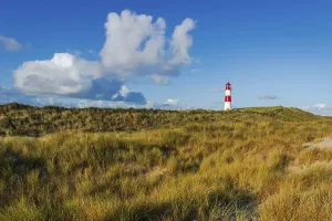 Lister Lighthouse Stampe: The Lister lighthouse at Ellenbogen
