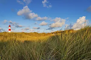 Deserted Dune Landscape Stampe: The Lister lighthouse at Ellenbogen