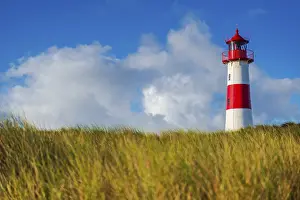 Lister Lighthouse Stampe: The Lister lighthouse at Ellenbogen