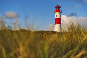 Lister Lighthouse Stampe: The Lister lighthouse at Ellenbogen