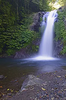 Bali Waterfalls Stampe: Little Gitgit Waterfall, Central Bali