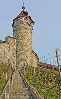 Vineyard Region Tourism Stampe: Whether local or foreign