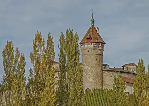 Vineyard Region Tourism Stampe: Whether local or foreign