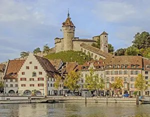 Wine Growing Region Tourism Stampe: Whether local or foreign