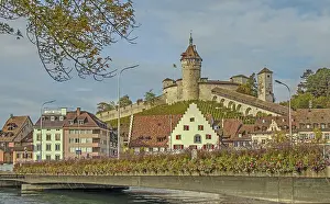 Switzerland Tourism Stampe: Whether local or foreign
