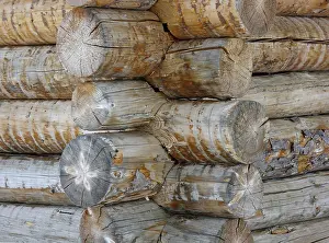 Log Cabin Detail Stampe: Log cabin