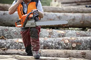 Timber Industry Europe Stampe: Logging work in the local forest