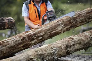 Lumberjack Profession Stampe: Logging work in the local forest