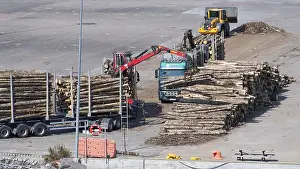 Scandinavian Harbour Scene Stampe: Logs are loaded onto large trailers
