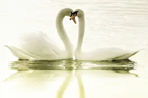 Artificial Lake Scenery Stampe: Lovers