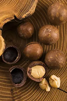 Vegan Diet Food Stampe: Macadamia nuts