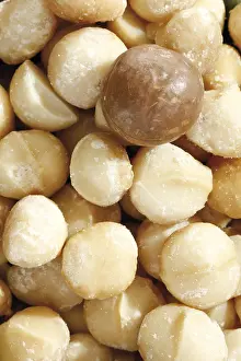Full Frame Food Image Stampe: Macadamia nuts, full format