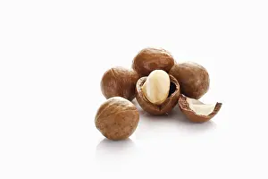 Studio Shot Of Nuts Stampe: Macadamia nuts, one of them opened