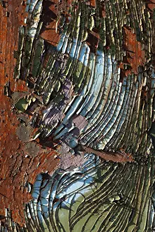 Colourful Rust Patterns Stampe: Macro, surface structure, colour, rust