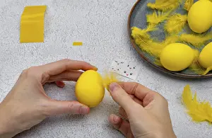 Easter Chick Decoration Stampe: How to make a chick from eggs for Easter decor
