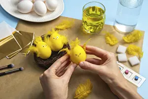 Easter Egg Chick Decoration Stampe: How to make a chick from eggs for Easter decor