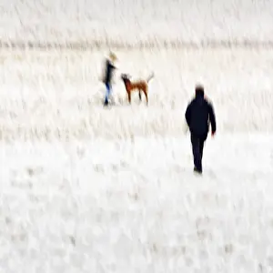 North Sea Shoreline Landscape Stampe: Man with child and dog on the beach