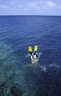 Blue Water Sports Stampe: Man diving in the sea