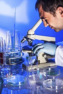 Laboratory Equipment Usage Stampe: Man is looking into the ocular of microscope