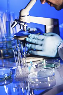 Biotechnology Experiment Stampe: Man is looking into the ocular of microscope