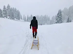 Snowy Landscape Germany Stampe: Man pulling a sledge through the snow