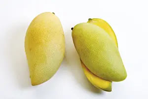 Studio Fruit Photography Stampe: Mangoes