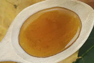 Healthy Baking Ingredients Stampe: Maple syrup