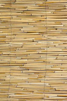 Abstract Straw Texture Stampe: Mat as straw as abstract texture pattern