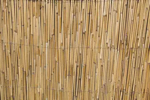 Abstract Straw Texture Stampe: Mat as straw as abstract texture pattern
