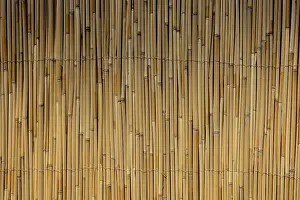 Empty Uninhabited Space Stampe: Mat as straw as abstract texture pattern