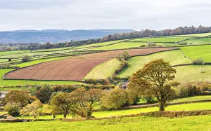 Deserted Farmland UK Stampe: Meadows and Fields over Devon in the colors of fall