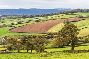 Autumnal Atmosphere Uk Stampe: Meadows and Fields over Devon in the colors of fall