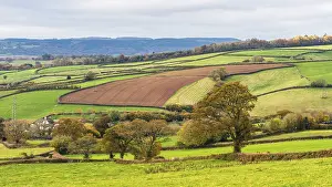 English Countryside Stampe: Meadows and Fields over Devon in the colors of fall
