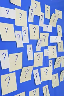 Butterfly Wildlife Photography Stampe: Memo sheets on the wall with many question marks