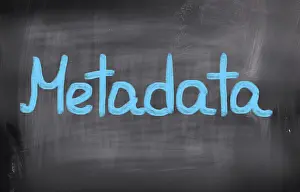 Computer Crime Stampe: Metadata Concept
