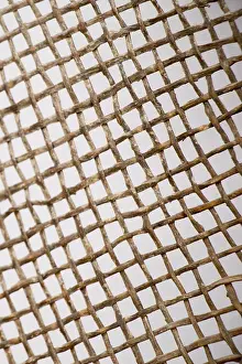 Metal Background Texture Stampe: Metal surface as a background texture pattern