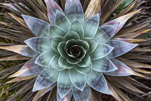 Immagini Correlate Stampe: _MGL8083.jpg