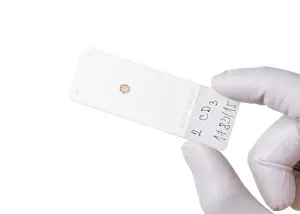 Scientific Research Tools Stampe: Microscope slide, cut out