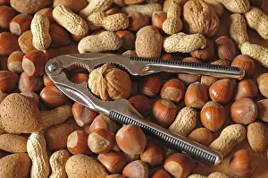 Mixed Nuts Stampe: Mixed nuts with a nutcracker
