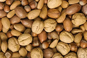 Walnut Nutrition Stampe: Mixed nuts with walnuts, hazelnuts