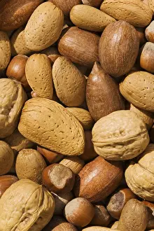 Walnut Nutrition Stampe: Mixed nuts with walnuts, hazelnuts